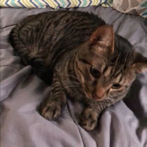 Meet your Posher, Haley